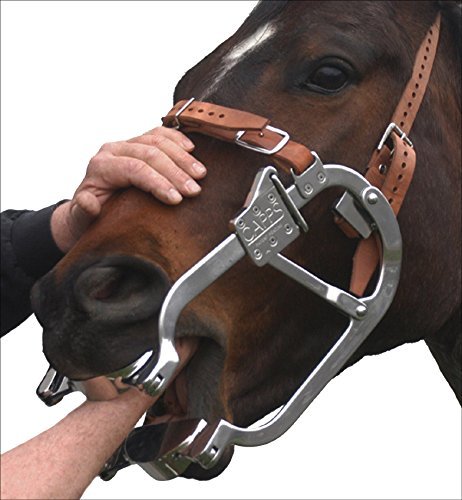 Anneau de bâillon de cheval de 145 mm Cheval Gag Ring Snaffle En Acier