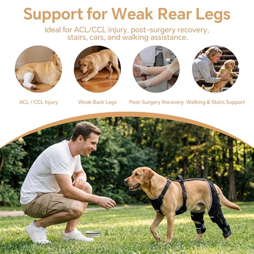 BALAPET Dog Rear Leg Brace for ACL/CCL Injury, Hinged Hind Leg Support Harness for Weak Back Legs, Torn ACL, Post-Surgery Recovery, Stairs, Car & Walking Assistance(L) by BALAPET - Used condition - Image 2