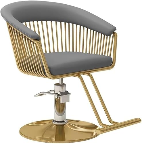 Heavy Duty Hairdressing Chair, 360° Swivel Salon Chair with Hydraulic