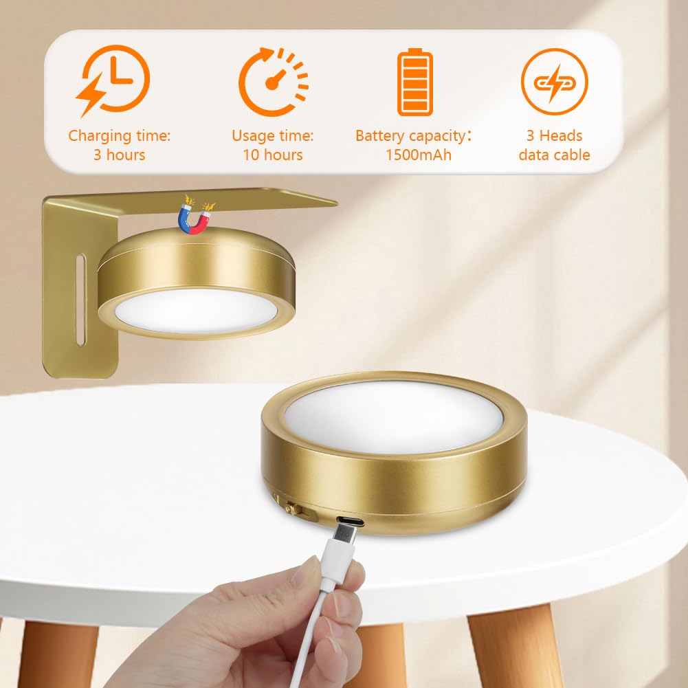 Luce per Quadri Senza Fili con Telecomando, 3PCS Luce per Quadro Senza Fili, 13 RGB Luci LED Magnetiche Wireless Ricaricabili, Timer Dimmerabile per Esposizione Pittura Vetrina, Oro
