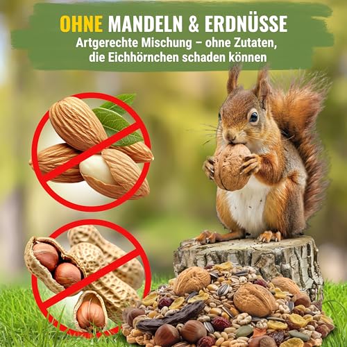 Natuverra Eichhörnchenfutter 1 kg für Eichhörnchen & Streifenhörnchen I Ganzjahres-Futter Eichhörnchen, Streifenhörnchen Futter mit Walnüssen in Schale
