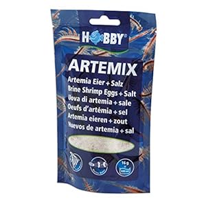Hobby 21100 Arte Mix, Huevos + Sal, 195 g