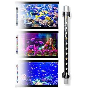 BURAQ Multicolor Glass Aquarium Fluorescent Light For Making Your Fish Tank Superior,Light Changing Fish Tank Light Switch,Ideal For Fish Aquarium,Fully Submersible Aquarium Lights (Up To 2.5 Ft Tank)