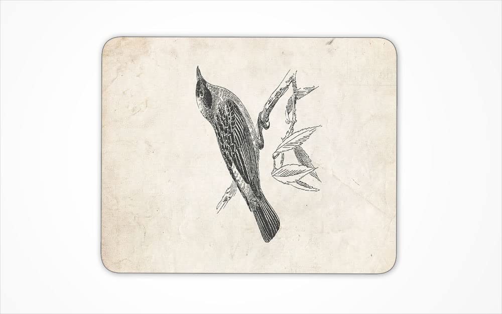 Tanager Bird Non-Slip Rubber Base Desk Medium Mouse PAD for Office Dorm Computer LAPTOPS PC (21 x 25.8 cm) | (8.26 x 10.15 in)