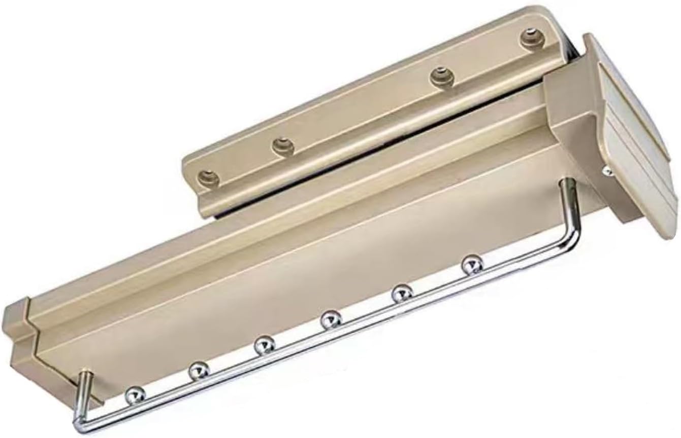 Pull-Out Closet Valet Rod with Double Row Damping Guide Rail, Load 30 Kg(66 LB), Extendable Pull Out Closet Rod for Hanging Clothes(Gold,40cm/15.7in)