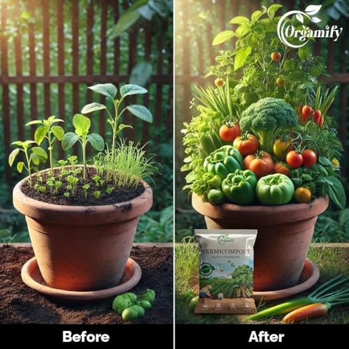 Image of Organic Vermicompost Manure - 2 Kg | 100% Natural Earthworm Compost for Plants | Soil Enricher, Root Booster & Growth Promoter for Indoor, Outdoor, Vegetable & Flower Plants
