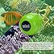 Mini-Magnet-Bürste, Aquarium-Reiniger, Glasreiniger, tragbarer langlebiger Magnet, Reinigung für Aquarien und Algenentfernung (Grün)