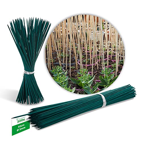Novatool Lot de 300 tuteurs de gravier 50 cm x 5 mm I Vert I Tiges pour tomates tuteurs de tomates tuteurs de fleurs pour planter des haricots Cover