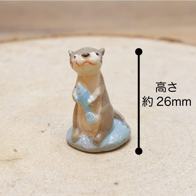 Amazon.co.jp: [GRACE HOME] 苔テラリウム 手作りキット カワウソ 付き