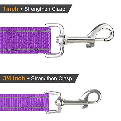 Joytale Hundeleine für Große und Mittelgroße Hunde, Doppelseitig Reflektierende Leine Hund aus Nylon mit Gepolstertem Griff, 1,8m x 2,5cm, Lila