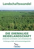 heidelandschaft niedersachsen  Die ehemalige Heidelandschaft zwischen Altdöbern und Großräschen: Ein Beitrag zur Wald- und Forstwirtschaftsgeschichte