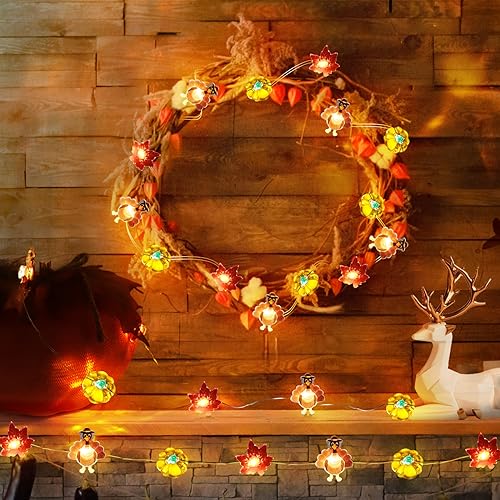 Sakayo DC1260-1 [Timer, 8 Modes]10Ft 30Led Thanksgiving Lights Decoration thumb #4