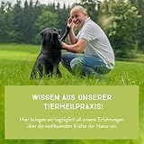 naftie Bio Hundefutter Land Huhn - Premium Nassfutter Menü mit Hühnchen & Reis - glutenfrei - purinarm - Diät-Futter nass - Sparpaket 6X 800g