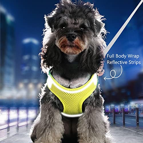 Mitili Dog Harness with Leash Set - Image 4