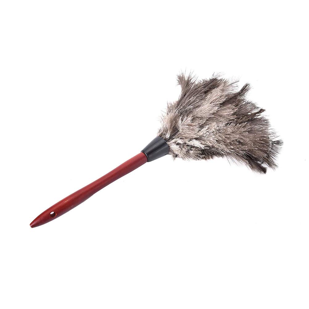 Wowobjects® Anti-Static Ostrich Natural Feather Fur Dust Duster Cleaning Brush Tool Wooden Handle Vintage Look for Home and Car Use. (B08LVQ5MPD) Amazon Price History, Amazon Price Tracker