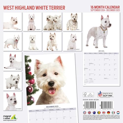 West Highland White 2025 Modern Calendar, Various - Image 2