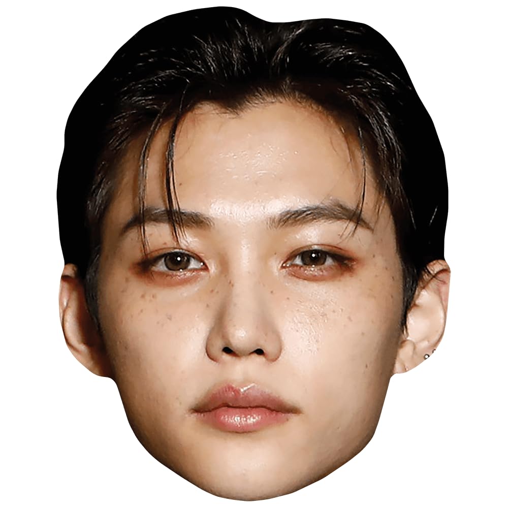 Felix Lee (Dark Hair) Celebrity Mask, Flat Card Face, Fancy Dress Mask