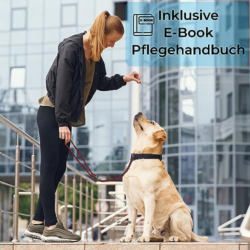 Testnote: Sehr gut - Hundeleine reflektierend I 3m, verstellbar, wetterfest & reißfest bis 250 kg I Paracord Führleine, Umhängeleine I kleine - große Hunde