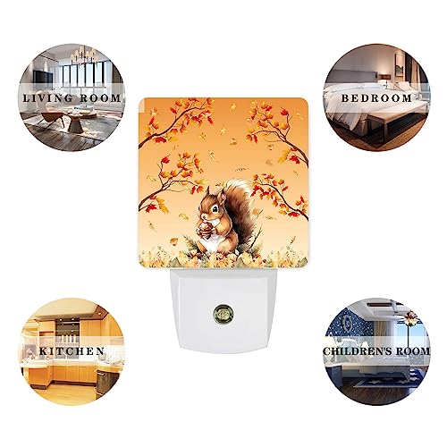 Image of Night Light Plug in LED Night Lamp Automatic Sensor Kids Night Lights Plug into Wall, Thanksgiving Fall Autumn Squirrel Maple Leaves Fall Square Night-Lights for Bedroom Bathroom Kitchen Hallway Decor