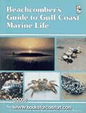 Beachcomber's guide to Gulf Coast marine life
