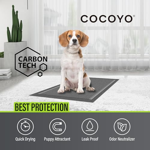 COCOYO Dog Training Pads 丨 Carbon Absorb Eliminating Urine Odor Doggie Training Pads 丨 Premium Charcoal Dog Pee Pads (100 Count, 22x22 inch),Gray