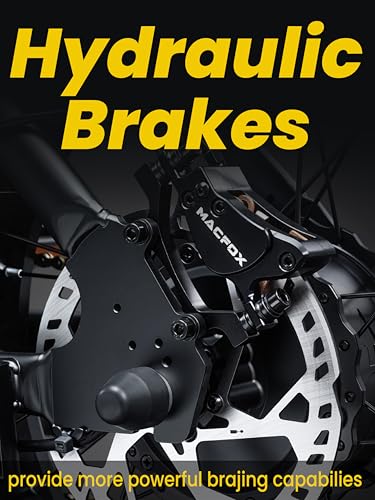 Electric Folding Mountain Bike