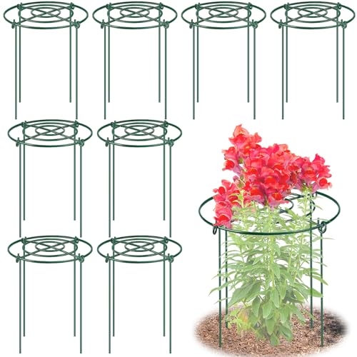 8 Pack Peony Cages and Supports 11.5 Dx16 H Plant Supports for Outdoor Plants Heavy Duty Metal Peony Support Cage Flower Support Rings Plant Support Ring for Rose Tomato Hydrangea Strawberry