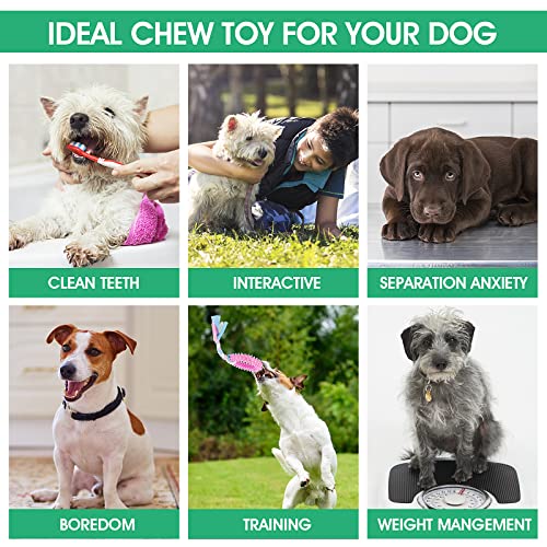 Cobee Welpenzahnspielzeug,4 Pcs Welpenspielzeug mit interaktiven Baumwollseilen zum Zahnen Kleiner Hunde,Gummi Welpenkauspielzeug,kleines Hundespielzeug für Hunde,beruhigt juckende Welpenkauspielzeug