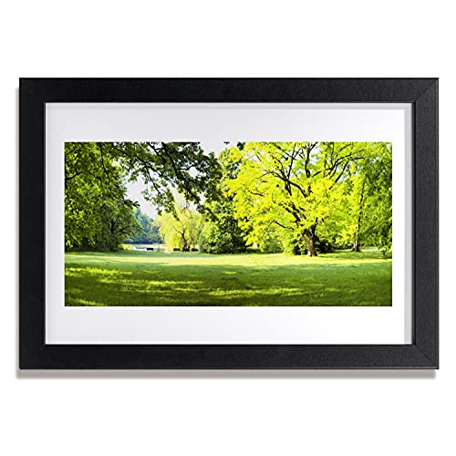 Cadre en MDF murale affiche Tulup 30x20 photo paysage herbes et arbres