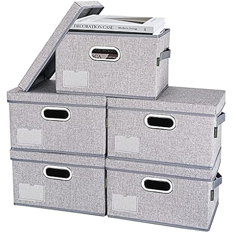 BALEINE Foldable Storage Bins with Lids Cover