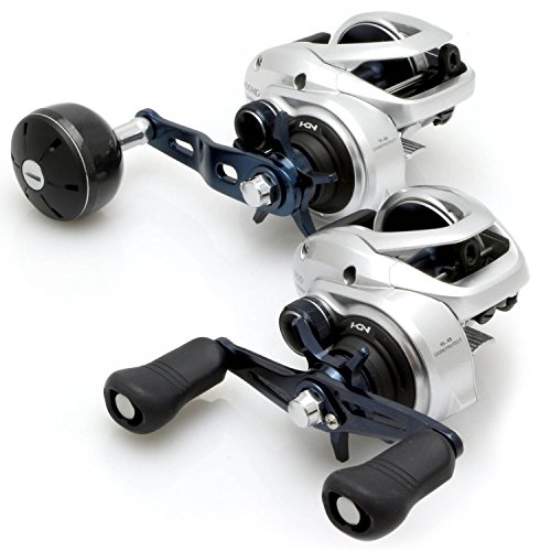 7 Best Saltwater Baitcasting Reels (2022 Top Picks)