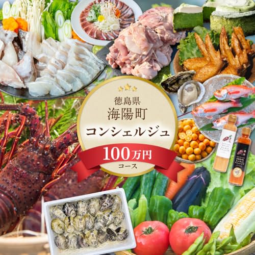 海陽町ふるさと納税コンシェルジュサービス[寄附金額100万円コース]