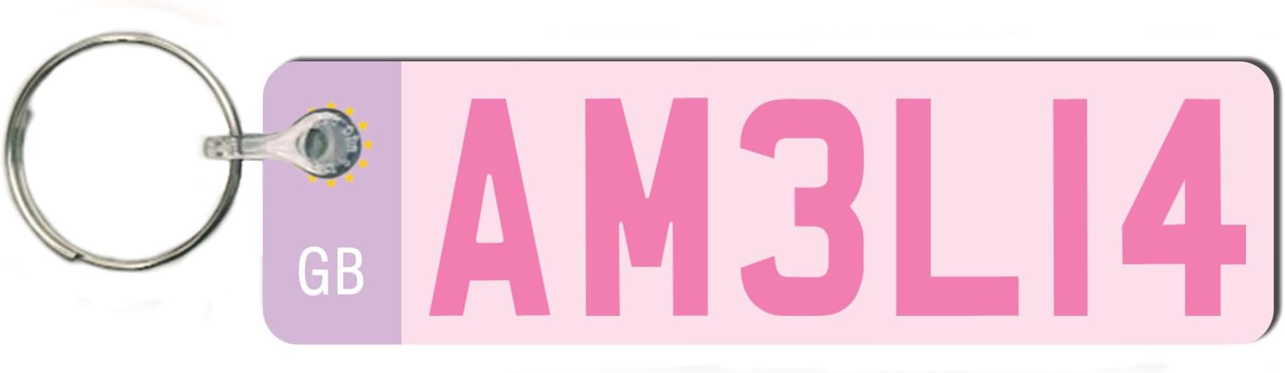 Custom License Plate Keychain - Personalised Number Plate Keyring - Mini Number Plate Key Ring - Name Plate Keychain - Just Passed Milestones