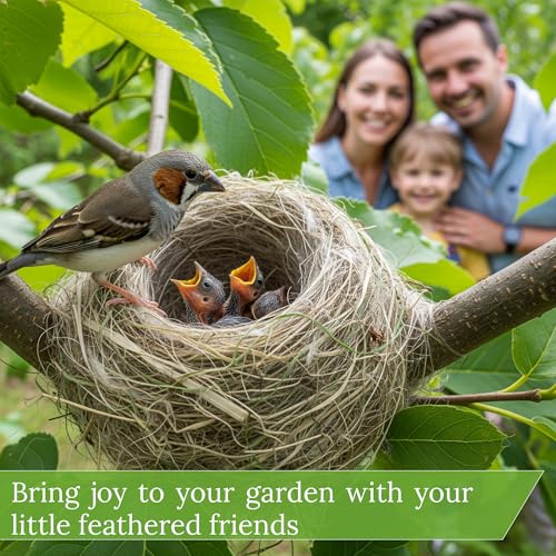 Image of Hummingbird Nesters Bird Nesting Material Holder for Wild Birds Humming Bird House Materials Gifts for Bird Watching Nature Lovers Refillable Outdoor Bird Station (Wool Nesting Material)