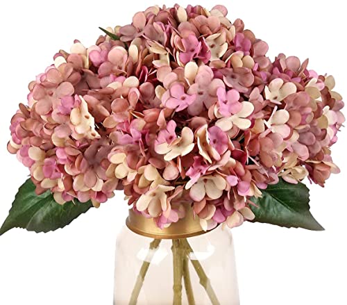 Blooming Paradise 10{  ԍ  CeA ԑ  ͂Ȃ v[g Mtg Ǝ ? a EFfBO  Be p z[ 뉀 Lb` ItBX p[eB[ AWTC tFCNt (