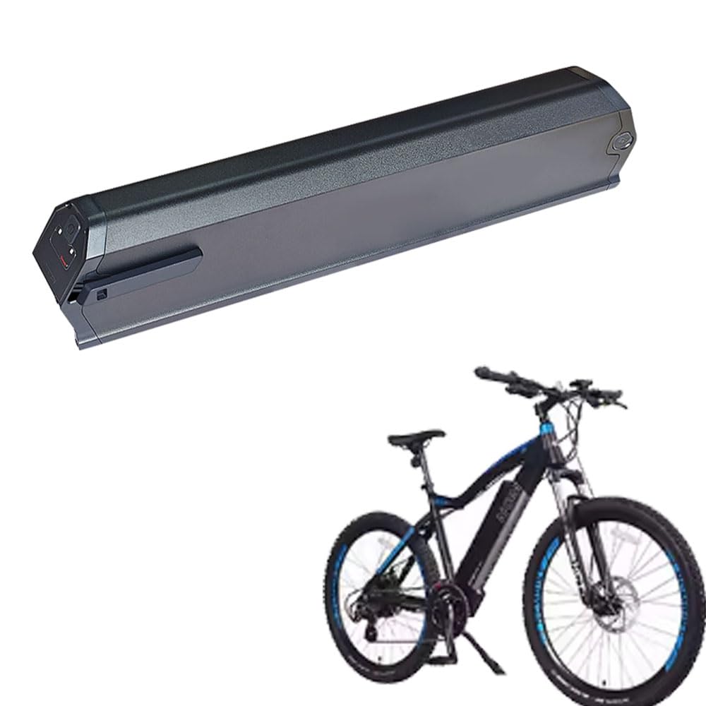 Batteria per bici elettrica Reention Dorado da 48 V 17,5 Ah più versione aggiornata da 25 Ah Adatta per bici elettriche DeHawk NCM Moscow Plus Milano Batteria di ricambio (48V13Ah PLUS)