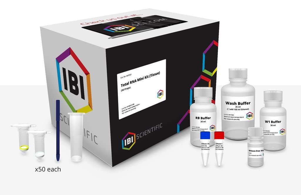 IB47410 RYEAST Mini Total RNA Kit, 4 Preparation Sample Kit