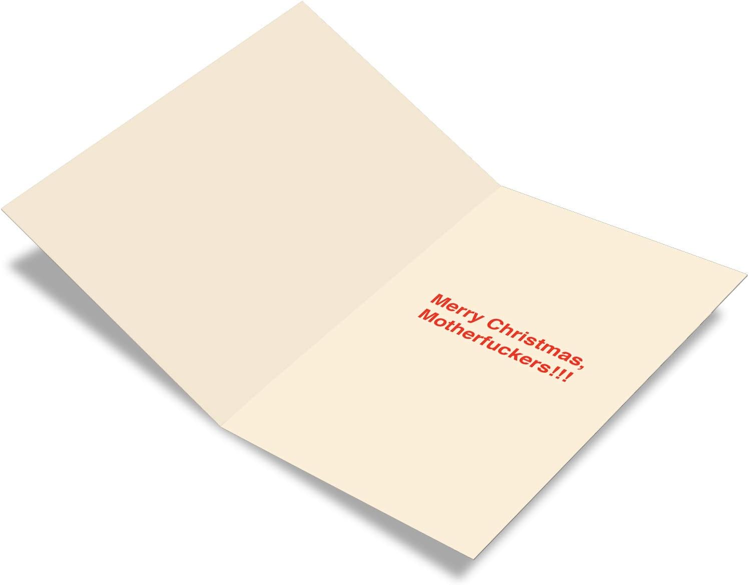 NobleWorks, 12 Funny Merry Christmas Cards (1 Design, 12 Cards) - Image 3