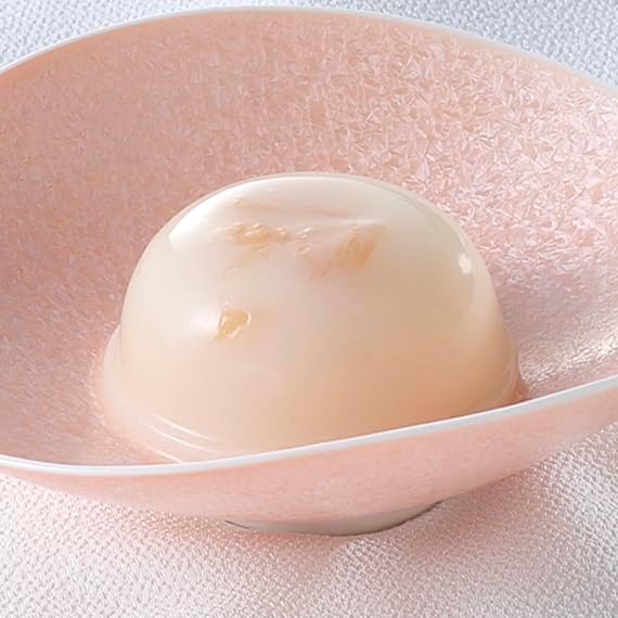 源吉兆庵 冷やしあんとろり葛入り水ようかん詰合せ9個入 和菓子 ギフト 母の日 父の日 お中元2024