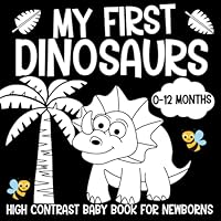 My First Dinosaurs High Contrast Baby Book for Newborns 0-12 Months: Black and White Dinosaurs Themed Pictures to Develop Your Babies Eyesight (Babies Visual Stimulation Book) B0B2J275WT Book Cover