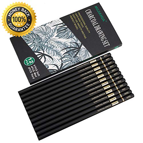 Mujinhua Professional Charcoal Pencils Drawing Set - 12 Pieces Soft, Medium & Hard Charcoal Pencils For Drawing, Sketching, Shading, Ideal Artist Pencils For Beginners & Artists #TOP2