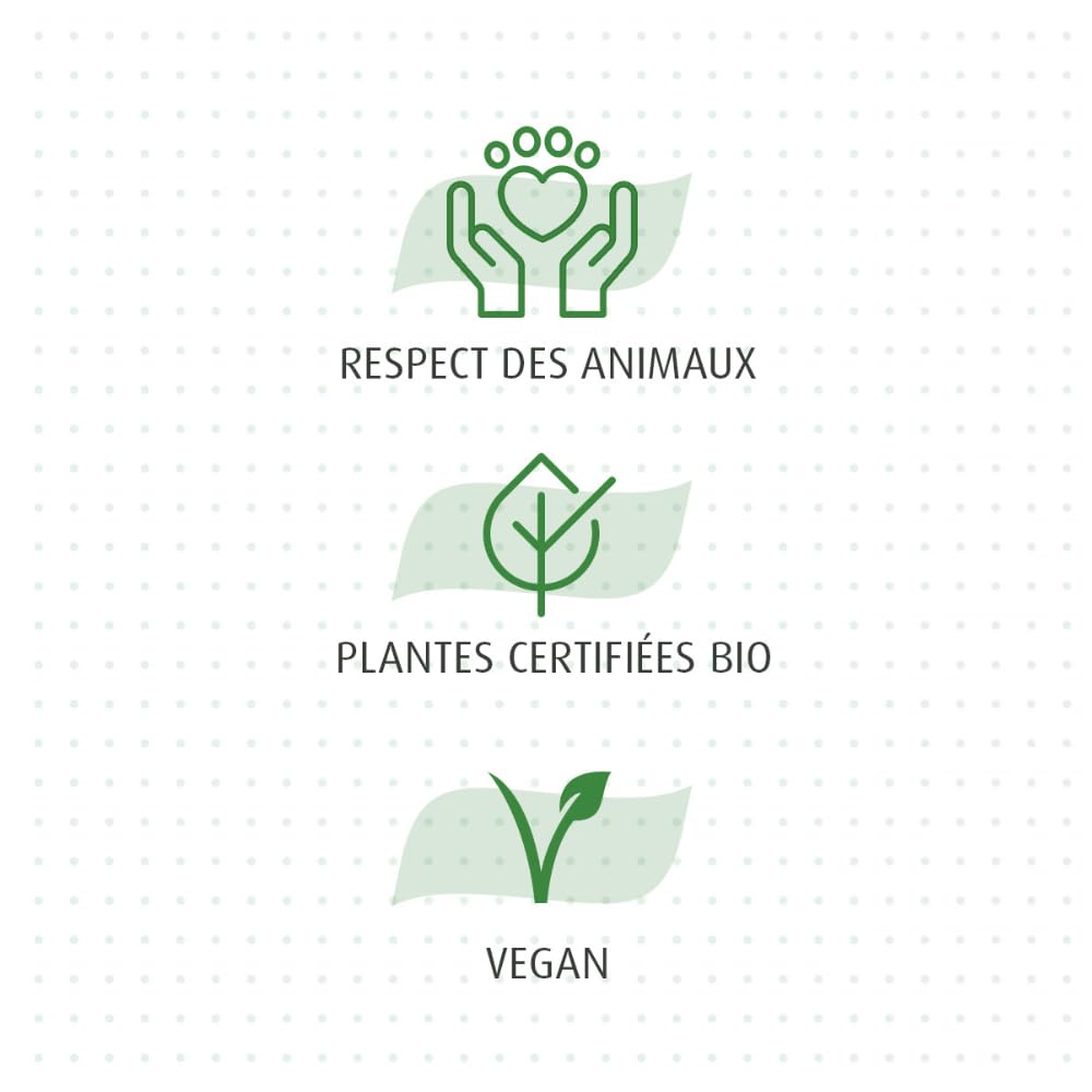 A.VOGEL - Echinaforce Spray Maux de Gorge - Apaise et soulage la gorge irritée, le pharynx et les cordes vocales - Extrait de plante Fraîche d’Echinacée et de Sauge Bio - Actifs végétaux Bio - 30ml