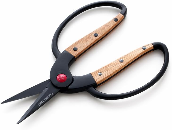 Barebones Living Garden Tool | Scissors, Small