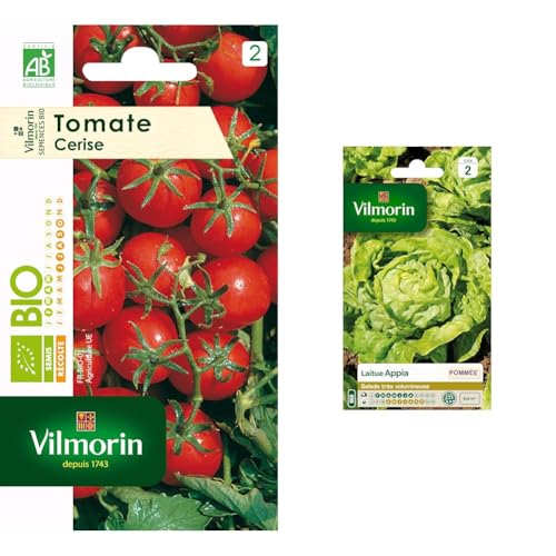 Vilmorin 3961734 Tomate cerise bio Rouge 9 x 0.5 x 16 cm & 3600142 Pack de Graines Laitue Pommée Appia