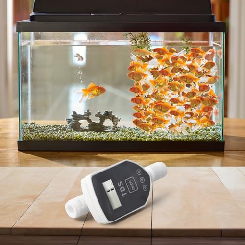 View 4