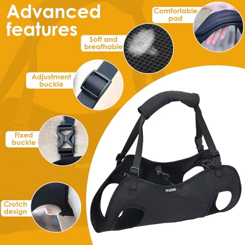Hundeliftgeschirr, Haustierunterstützung Hund Lift Support für Hunde, Rehabilitation Geschirr Mobilität Sling für Alt, Gelenkverletzungen, Arthritis, Stabilitätsverlust Hunde, Schwarz (L)