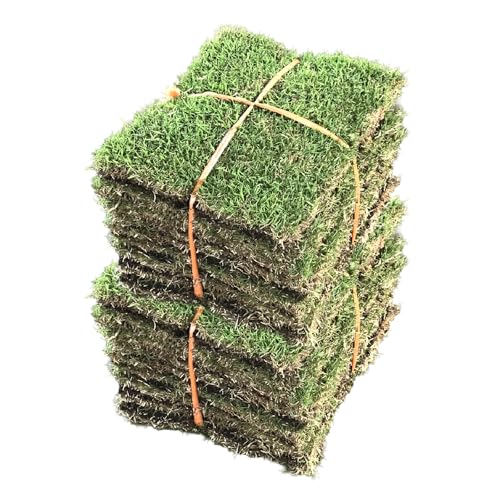 [ハヤシ]TM9(ティーエムナイン)省管理型コウライシバ トヨタ自動車(株)開発品種 2平米