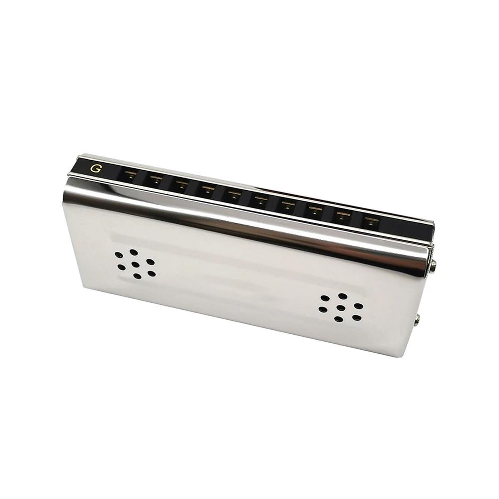 Armonica A Bocca A Doppia Faccia A 10 Fori 2 In 1 Diatonica In Do E Sol Per Adulti Blues