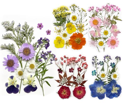 Bmeigo 5 Pack Dried Pressed Flowers for Crafts, Real Pressed Flowers Mixed Natural Leaves Herbs Bulk Petals for Scrapbooking, Resin, Candle, Jewelry Making, Nails Decor, DIY, Floral Art Decorations