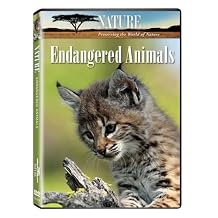 Nature Endangered Animals